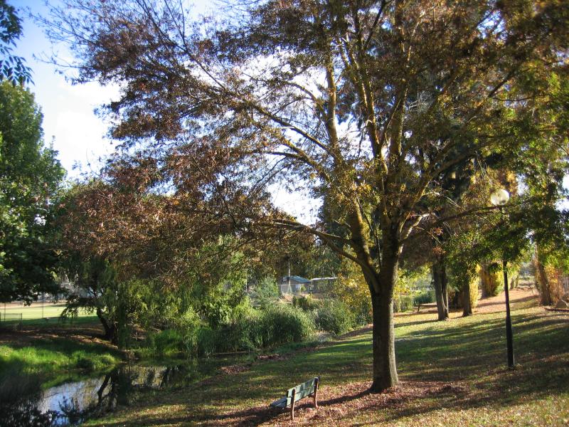 Myrtleford - Jubilee Park, Myrtle Street: View west along Happy Valley Creek through park
