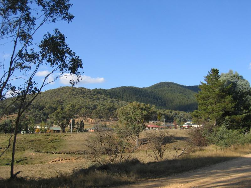 Myrtleford - Halls Road area: View north from Halls Rd near Nil Gully Reservoir