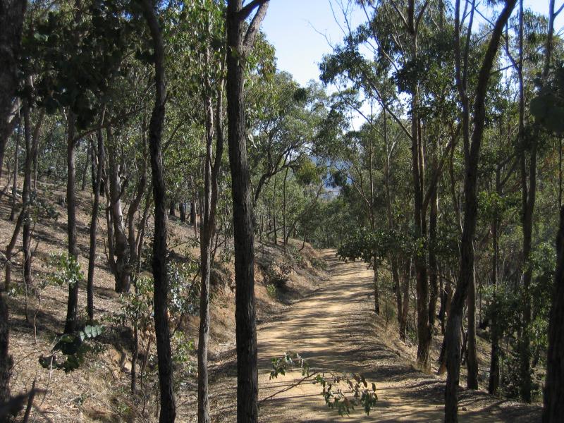 Myrtleford - Reform Hill lookout, Scenic Drive: Access road to Reform Hill lookout