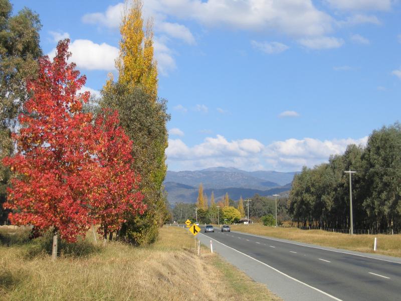 Myrtleford - West of Myrtleford: View south-east along Great Alpine Road, 3 km west of Myrtleford