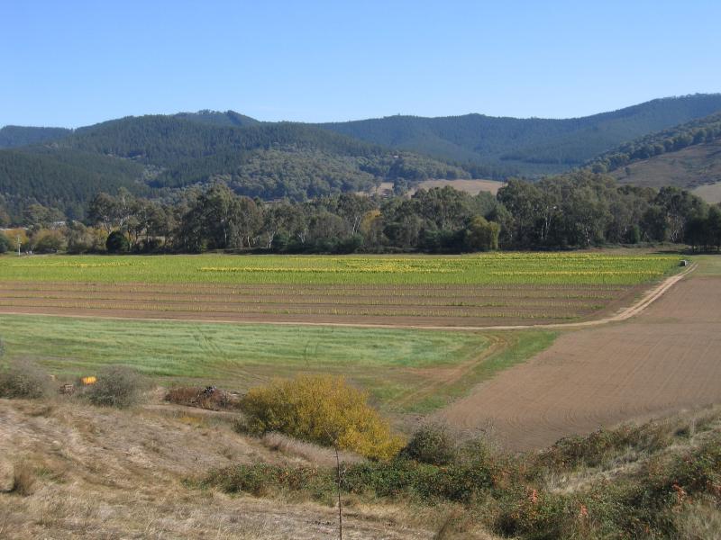 Myrtleford - Buffalo River Road: View west from Buffalo River Rd, 6 km south of Myrtleford