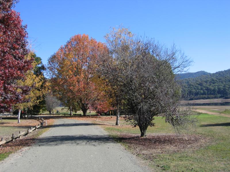 Myrtleford - Lake Buffalo: Access road to lake off Buffalo River Rd