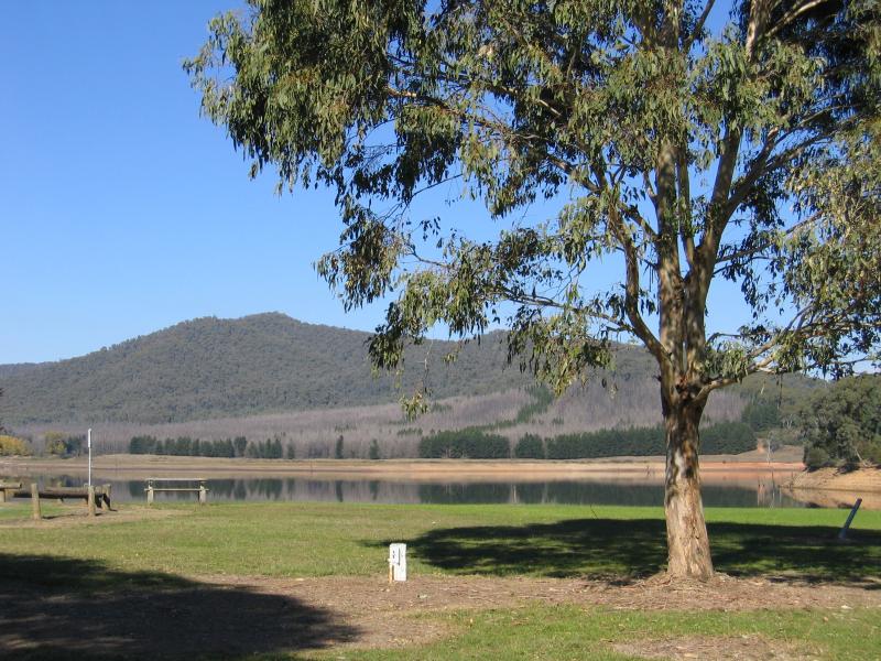 Myrtleford - Lake Buffalo: View across lake