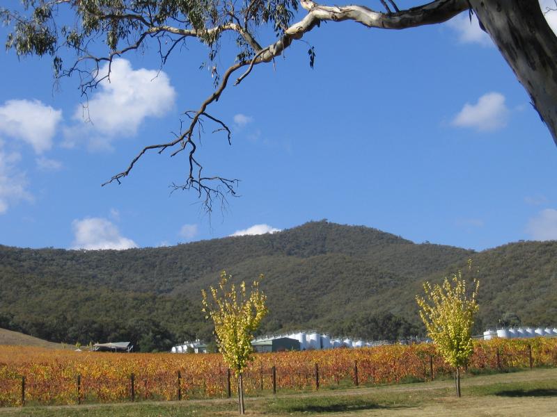 Myrtleford - Gapsted, Great Alpine Road north-west of Myrtleford: Gapsted Winery