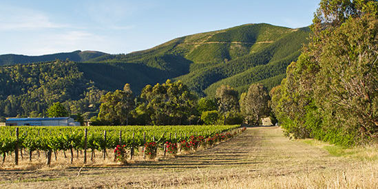 Eaglerange Estate, Ovens