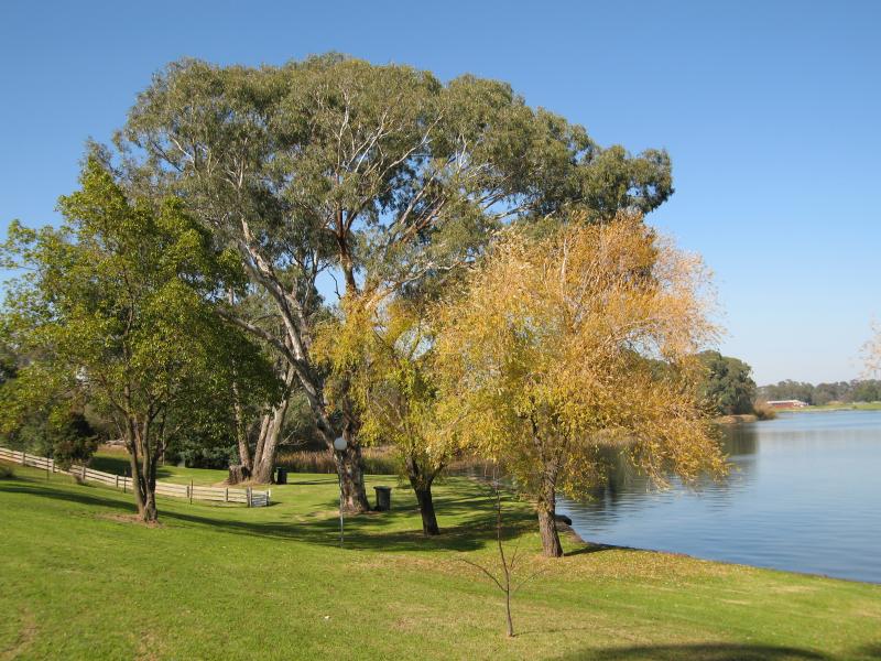 Nagambie - River Street Reserve, end of River Street: View south across lake