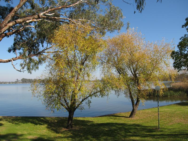 Nagambie - River Street Reserve, end of River Street: View west across lake