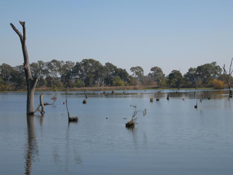 Nagambie - Kirwans Bridge, Lake Nagambie: View south-west across lake from eastern bank