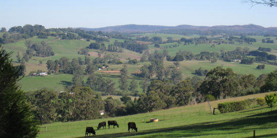 Neerim South