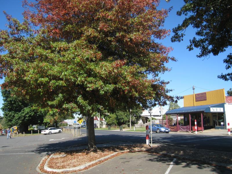 Neerim South - Shops and commercial centre, Main Neerim Road: View south along Main Neerim Rd towards Neerim East Rd