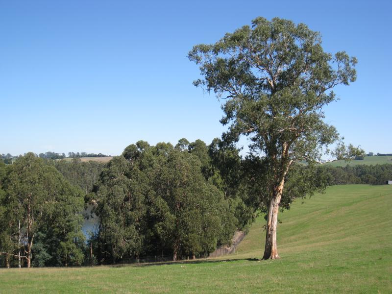 Neerim South - Wagner Road: South-west view towards Tarago Reservoir