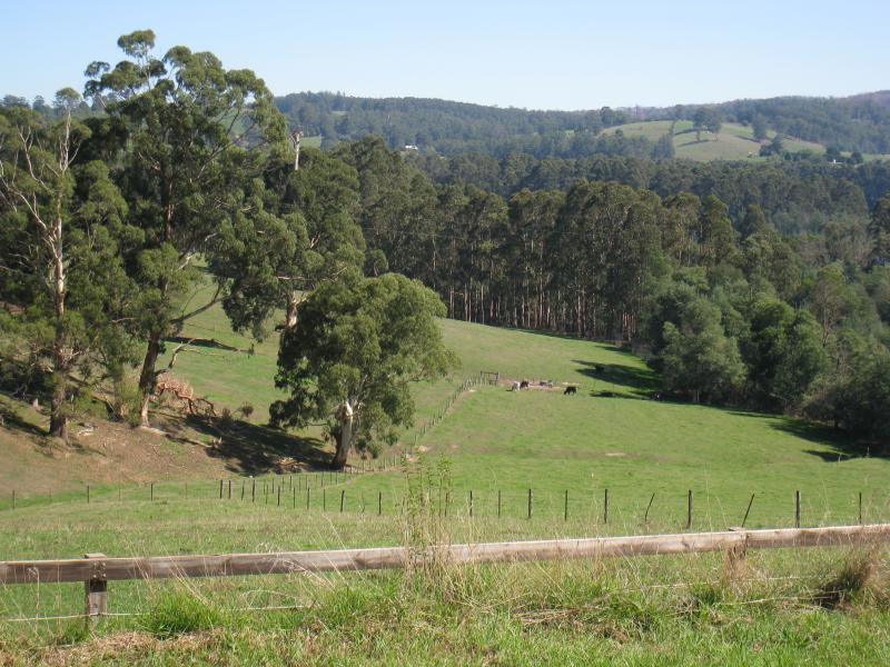 Neerim South - Wagner Road: Westerly view from Wagner Rd near Tarago Reservoir