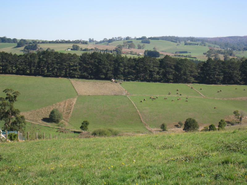 Neerim South - Shirley Road: Westerly view, Shirley Rd near Benjamin St