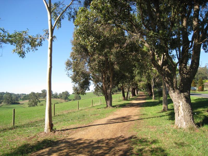 Neerim South - Main Neerim Road, southern side of town: View south along Main Neerim Rd and pathway near town sign