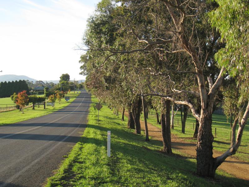 Neerim South - Main Neerim Road, southern side of town: View north along Main Neerim Rd towards town sign and Jindivick Rd