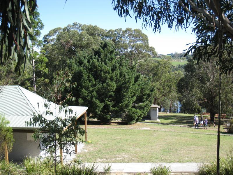 Neerim South - Tarago Reservoir Park: Picnic area between car park and reservoir