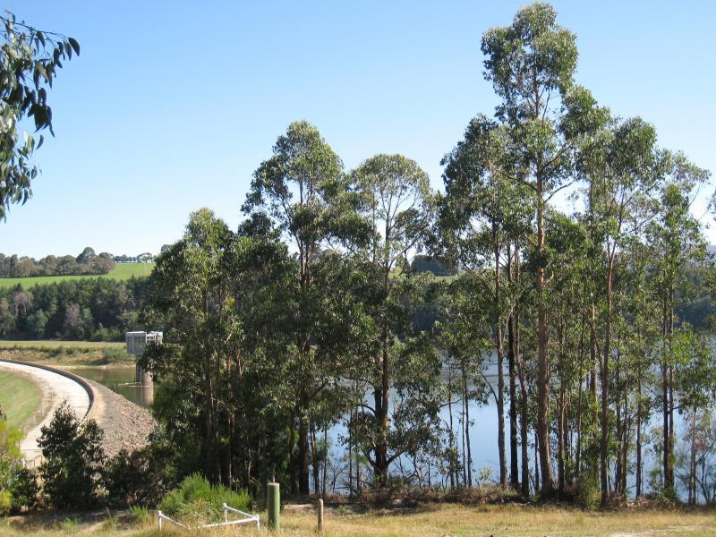Neerim South - Tarago Reservoir Park: View down towards dam wall from picnic area
