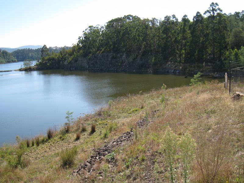 Neerim South - Tarago Reservoir Park: View north across reservoir from entrance to dam wall