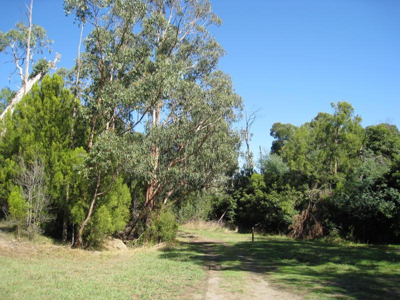 Neerim South - Tarago Reservoir Park: Walking track along Tarago River at base of dam wall