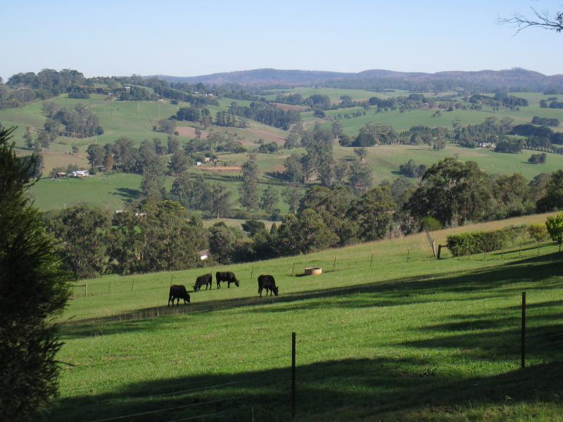 Neerim South - Main Neerim Road, south of Neerim South: North-westerly view, Main Neerim Rd between Bloomfield Rd and Le Page Rd