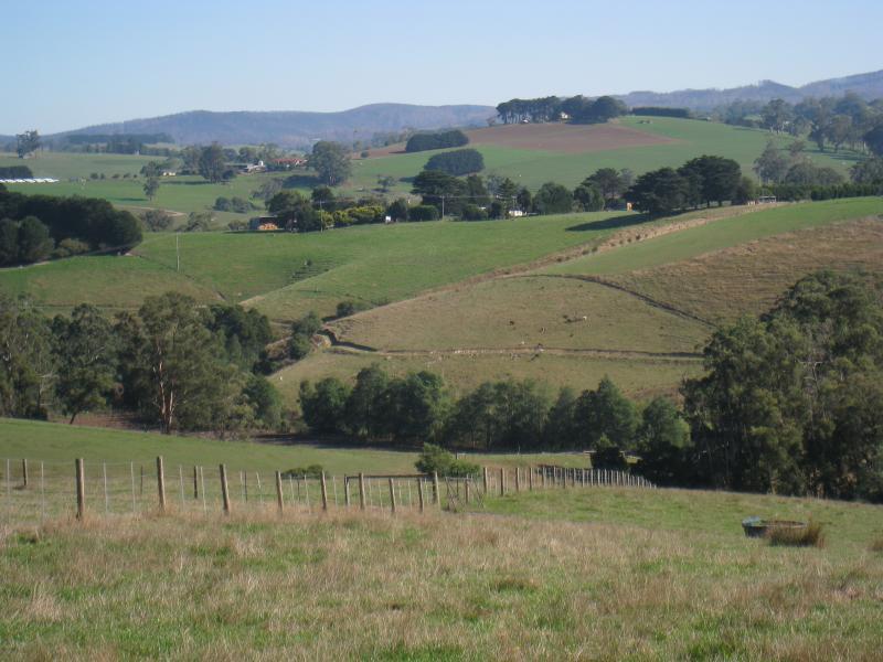 Neerim South - Main Neerim Road, south of Neerim South: Westerly view, Main Neerim Rd between Brandy Creek Rd and Bloomfield Rd