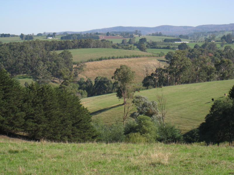 Neerim South - Main Neerim Road, south of Neerim South: Westerly view, Main Neerim Rd between Brandy Creek Rd and Bloomfield Rd