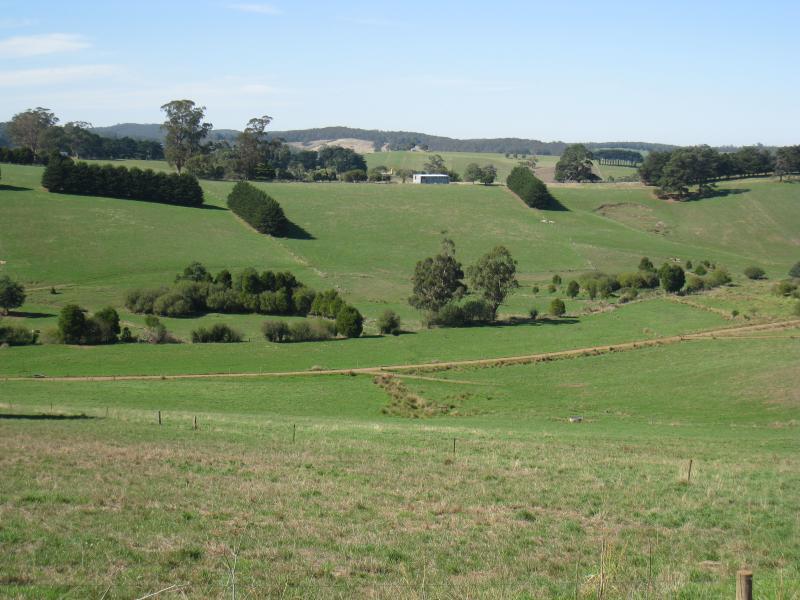 Neerim South - Main Neerim Road, northern side of town: Easterly view at northern end of town