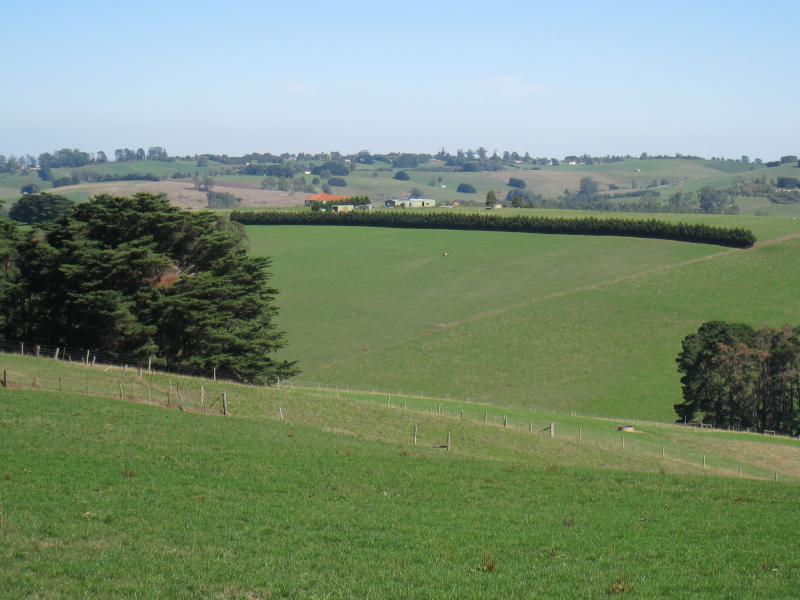 Neerim South - Main Neerim Road, north of Neerim South: South-westerly view, a little north of town