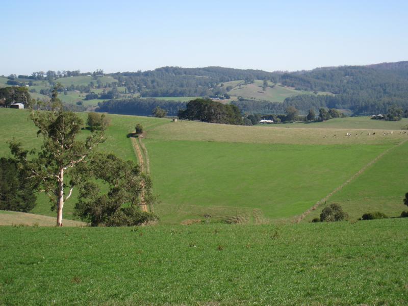 Neerim South - Main Neerim Road, north of Neerim South: Westerly view, a little north of town