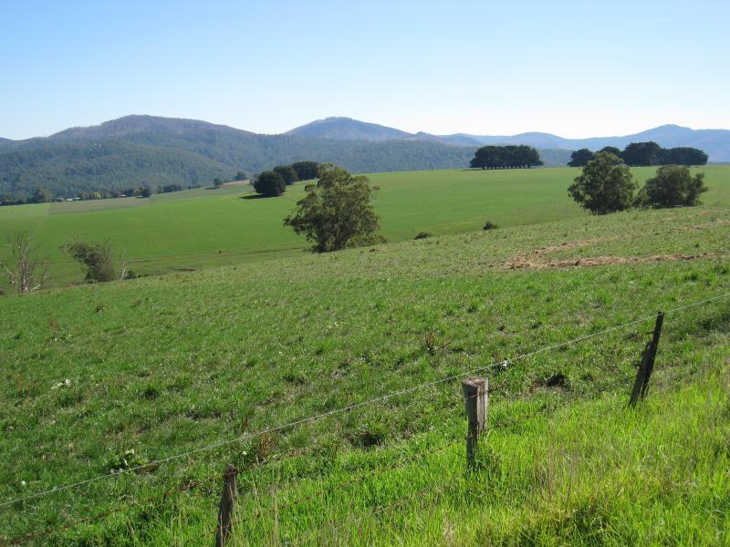 Neerim South - Main Neerim Road, north of Neerim South: North-westerly view, a little north of town
