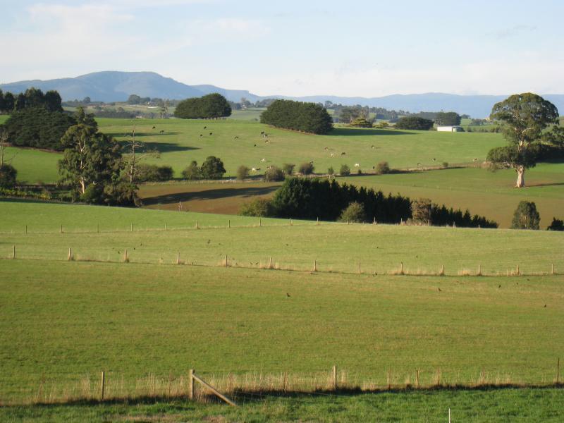 Neerim South - Main Neerim Road, north of Neerim South: Easterly view, south of Sawyer Rd