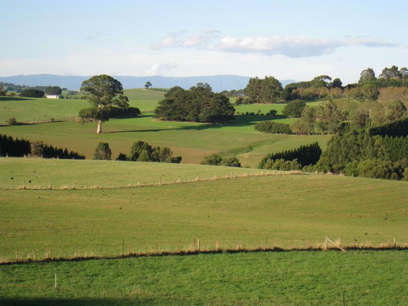 Neerim South - Main Neerim Road, north of Neerim South: Easterly view, south of Sawyer Rd
