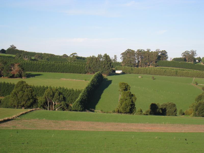 Neerim South - Main Neerim Road, north of Neerim South: Easterly view, south of Sawyer Rd