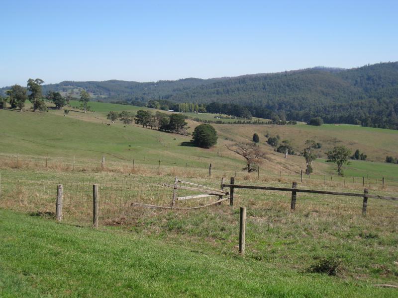 Neerim South - Main Neerim Road, north of Neerim South: South-westerly view, north of Sawyer Rd