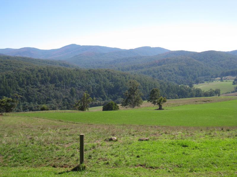 Neerim South - Main Neerim Road, north of Neerim South: North-westerly view, north of Sawyer Rd