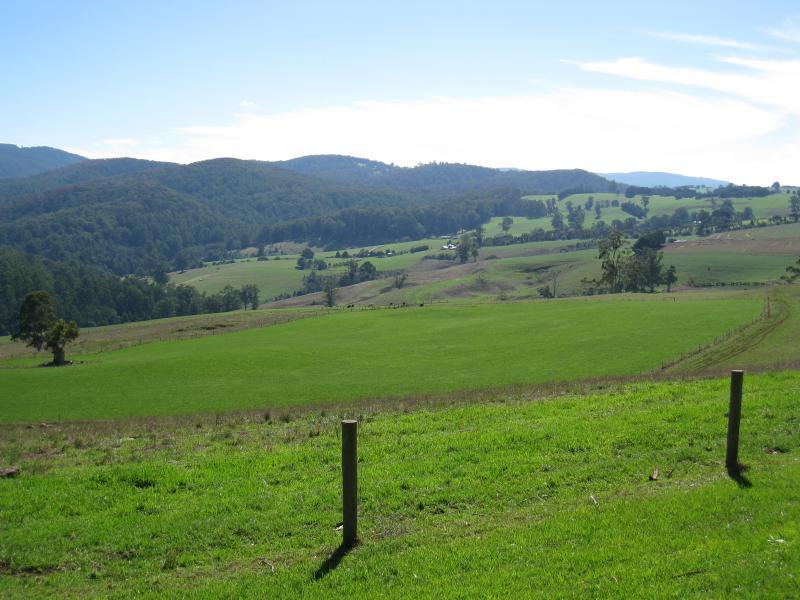 Neerim South - Main Neerim Road, north of Neerim South: North-westerly view, north of Sawyer Rd