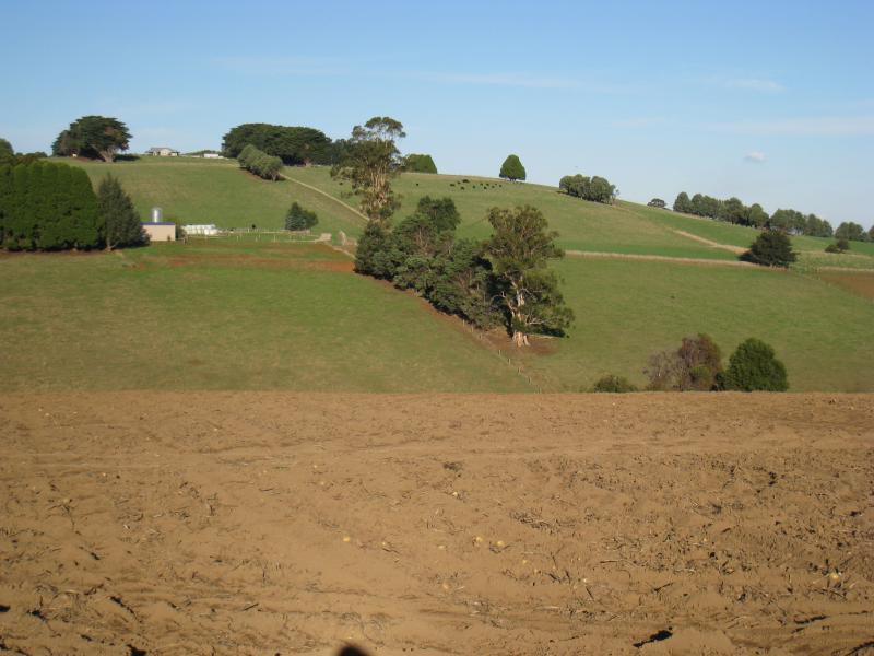 Neerim South - Small town of Neerim: Easterly view across potato field, north of Neerim East Rd