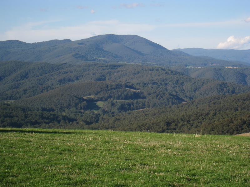 Neerim South - Town of Neerim Junction: Easterly view, Main Neerim Rd north of Neerim North Rd