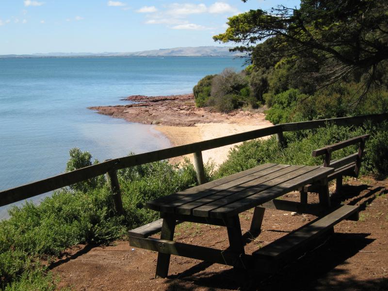 Newhaven - Coastline along Forrest Avenue: Seats above beach west of School Av