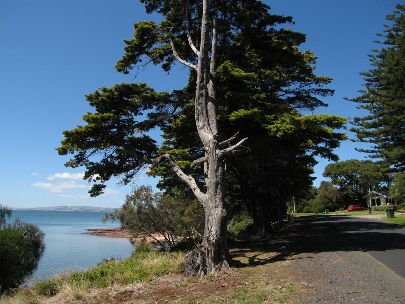 Newhaven - Coastline along Forrest Avenue: View east along Forrest Av towards School Av