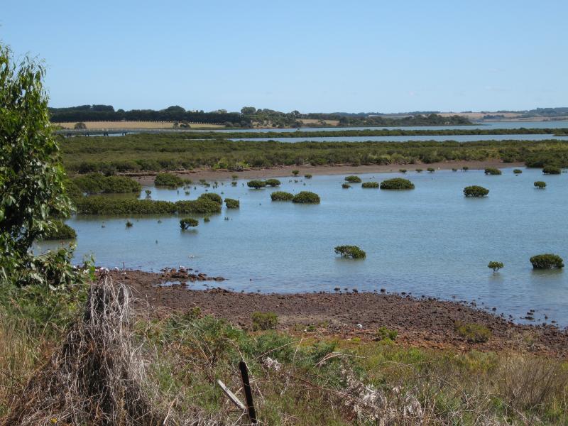 Newhaven - Coastline along Forrest Avenue: View west across mudflats towards McLeod Point from Forrest Av at Boys Home Rd