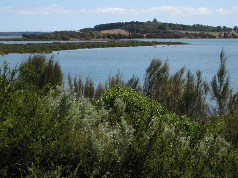 Newhaven - Coastline along Forrest Avenue: View north-west towards Churchill Island from Forrest Av at Boys Home Rd