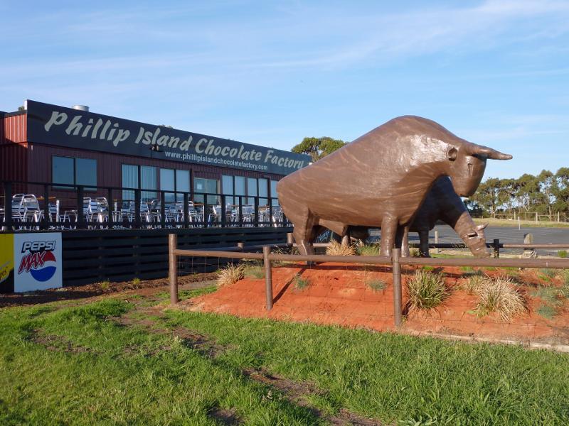 Newhaven - Phillip Island Road through Newhaven: Cow sculptures in front of cafe at Phillip Island Chocolate Factory