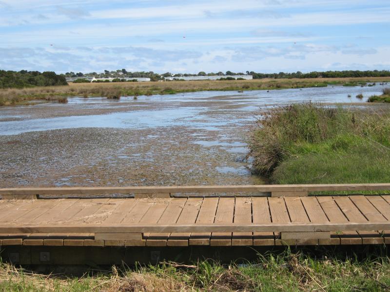 Newhaven - Churchill Island: Boardwalk through swamp, Samuel Amess Dr