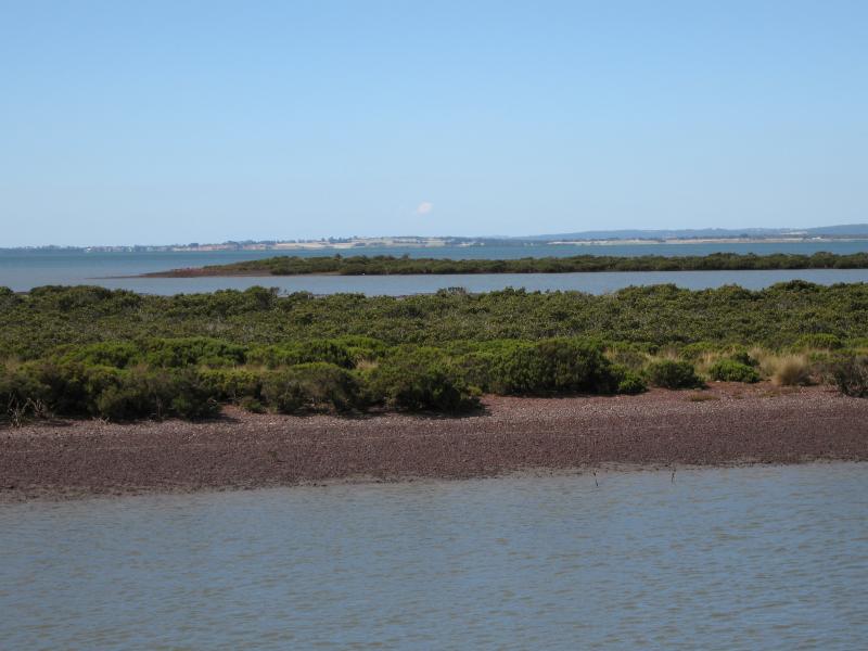 Newhaven - Churchill Island: View north-east across mangroves and mudflats from bridge