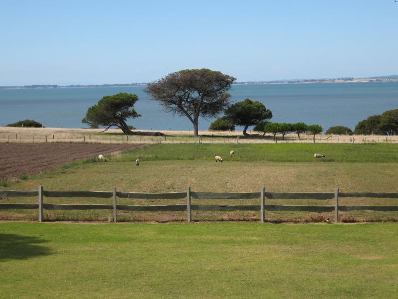 Newhaven - Churchill Island: View east from visitor centre towards sheep grazing fields