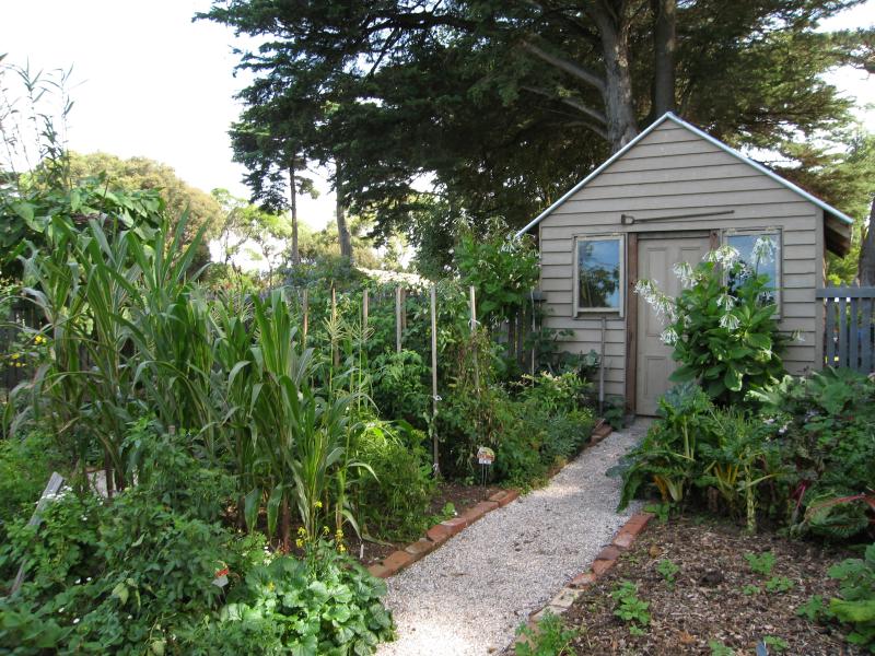 Newhaven - Churchill Island: Vegetable garden