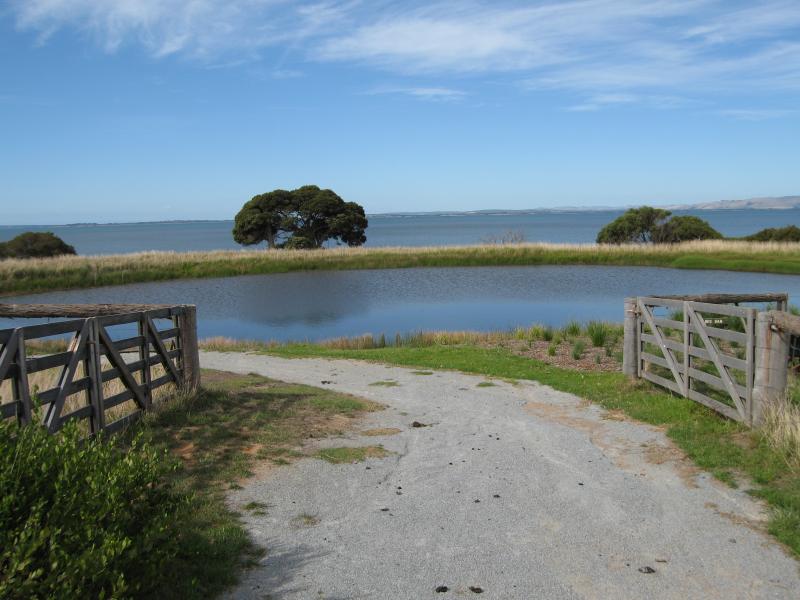 Newhaven - Churchill Island: Dam at island circuit walk, south-east of visitor centre