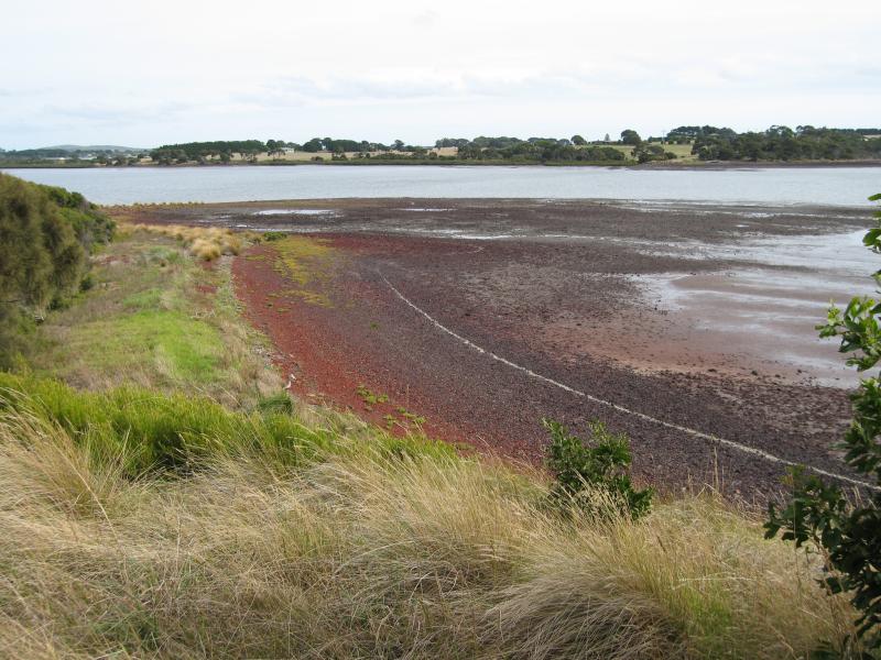 Newhaven - Churchill Island: View south towards Phillip Island from island circuit walk, west of visitor centre
