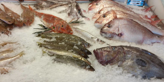 Bass Strait Direct, Newhaven